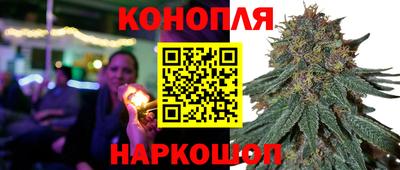 2c-b Гатчина